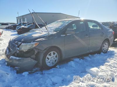 2010 TOYOTA COROLLA BASE 2T1BU4EE0AC404593 - główne zdjęcie licytacji z USA - miniatura
