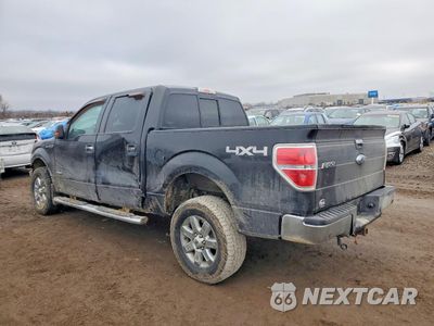 Drugie zdjęcie samochodu z przodu: 2013 FORD F150 SUPERCREW VIN:1FTFW1ET1DKD36929 - miniatura