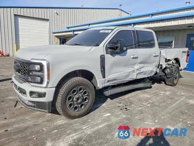2025 FORD F250 SUPER DUTY 1FT8W2BT0SEE02501 - główne zdjęcie licytacji z USA - miniatura