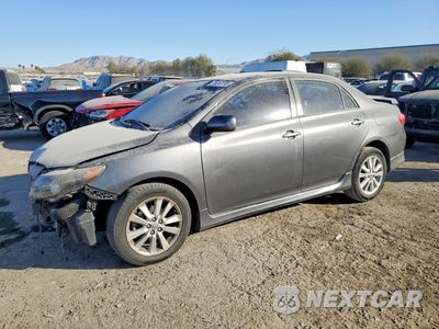 2010 TOYOTA COROLLA BASE 2T1BU4EE9AC534761 - główne zdjęcie licytacji z USA - miniatura