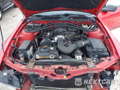 Zdjęcie 11 z 12 samochodu: 2005 FORD MUSTANG VIN:1ZVFT80N255218279 - miniatura