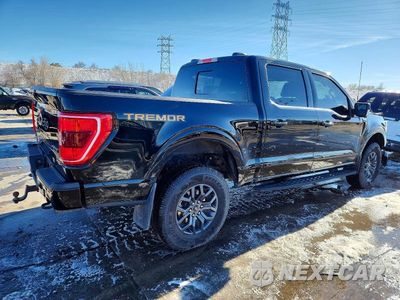 Trzecie zdjęcie samochodu z tyłu: 2023 FORD F150 SUPERCREW VIN:1FTEW1E86PFB95683 - miniatura