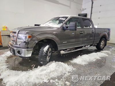 2014 FORD F150 SUPERCREW 1FTFW1ET1EKF93767 - główne zdjęcie licytacji z USA - miniatura