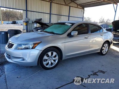 2008 HONDA ACCORD EXL 1HGCP36868A086297 - główne zdjęcie licytacji z USA - miniatura