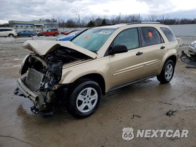 2005 CHEVROLET EQUINOX LS 2CNDL23FX56175998 - główne zdjęcie licytacji z USA - miniatura