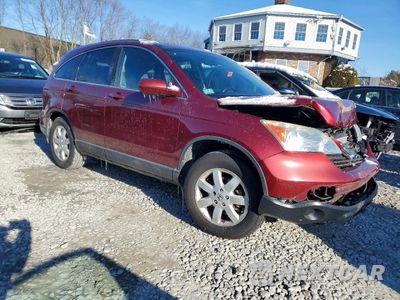 Czwarte zdjęcie samochodu z boku: 2009 HONDA CR-V EXL VIN:5J6RE48759L051419 - miniatura
