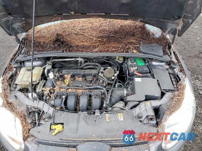 Zdjęcie 11 z 12 samochodu: 2014 FORD FOCUS SE VIN:1FADP3F22EL322903 - miniatura