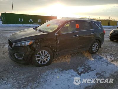 2016 KIA SORENTO LX 5XYPG4A36GG124997 - główne zdjęcie licytacji z USA - miniatura