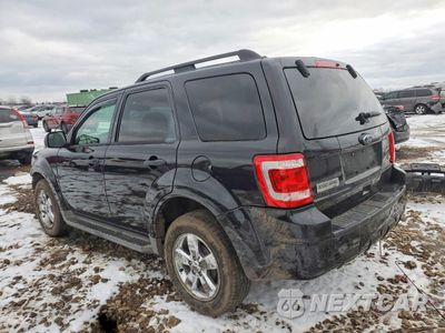 Drugie zdjęcie samochodu z przodu: 2011 FORD ESCAPE XLT VIN:1FMCU9DG7BKA20133 - miniatura