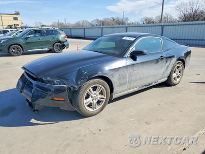2013 FORD MUSTANG 1ZVBP8AM3D5274982 - główne zdjęcie licytacji z USA - miniatura