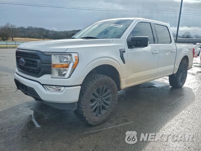 2021 FORD F150 SUPERCREW 1FTFW1E86MKD97057 - główne zdjęcie licytacji z USA - miniatura