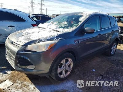 2014 FORD ESCAPE SE 1FMCU0G92EUE29500 - główne zdjęcie licytacji z USA - miniatura