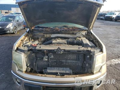Zdjęcie 11 z 12 samochodu: 2013 FORD F150 SUPERCREW VIN:1FTFW1CT1DFA79380 - miniatura
