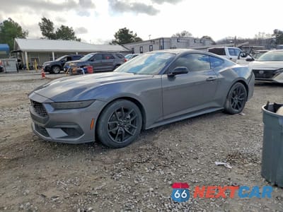 2024 FORD MUSTANG 1FA6P8TH8R5123427 - główne zdjęcie licytacji z USA - miniatura