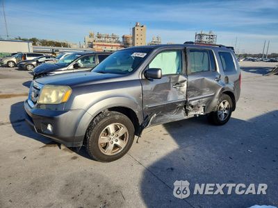 2011 HONDA PILOT EXL 5FNYF3H51BB028669 - główne zdjęcie licytacji z USA - miniatura