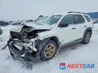 2024 HONDA PILOT TRAILSPORT 5FNYG1H62RB029236 - główne zdjęcie licytacji z USA - miniatura