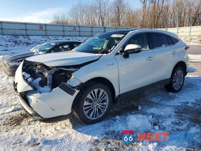 2021 TOYOTA VENZA LE JTEAAAAH6MJ075289 - główne zdjęcie licytacji z USA - miniatura