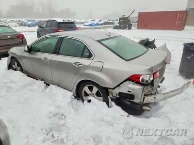 Trzecie zdjęcie samochodu z tyłu: 2009 ACURA TSX VIN:JH4CU26619C015206 - miniatura