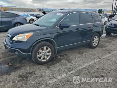 2007 HONDA CR-V EXL JHLRE38737C065254 - główne zdjęcie licytacji z USA - miniatura