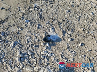 Zdjęcie 12 z 14 samochodu: 2010 LEXUS IS 350C BASE VIN:JTHFE2C24A2501353 - miniatura