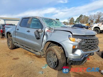 Czwarte zdjęcie samochodu z boku: 2025 CHEVROLET SILVERADO K1500 TRAIL BOSS CUSTOM VIN:3GCPKCEK0SG148099 - miniatura