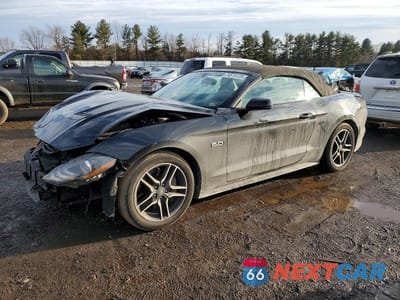 2019 FORD MUSTANG GT 1FATP8FF1K5104706 - główne zdjęcie licytacji z USA - miniatura