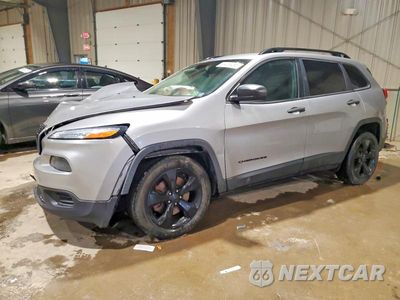 2017 JEEP CHEROKEE SPORT 1C4PJLAB3HW616894 - główne zdjęcie licytacji z USA - miniatura