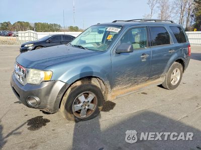 2012 FORD ESCAPE XLT 1FMCU0D71CKA98548 - główne zdjęcie licytacji z USA - miniatura