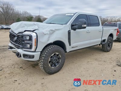 2025 FORD F250 SUPER DUTY 1FT8W2BTXSED63688 - główne zdjęcie licytacji z USA - miniatura