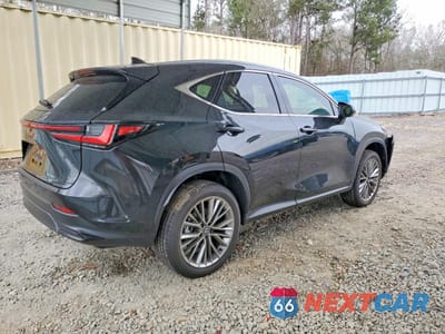 Trzecie zdjęcie samochodu z tyłu: 2026 LEXUS NX 350 LUXURY VIN:2T2HGCEZ7TC101422 - miniatura