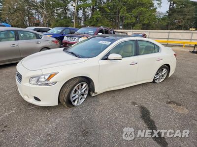 2010 NISS MAXIMA S 1N4AA5AP8AC818043 - główne zdjęcie licytacji z USA - miniatura