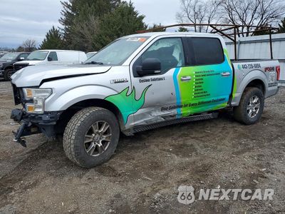 2016 FORD F150 SUPERCREW 1FTEW1EF7GFB09702 - główne zdjęcie licytacji z USA - miniatura