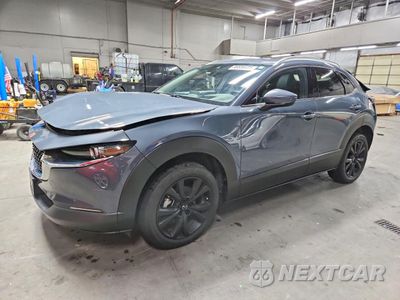 2021 MAZDA CX-30 PREMIUM 3MVDMBDL0MM316103 - główne zdjęcie licytacji z USA - miniatura