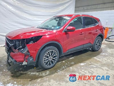 2025 FORD ESCAPE 1FMCU0E13SUA26604 - główne zdjęcie licytacji z USA - miniatura