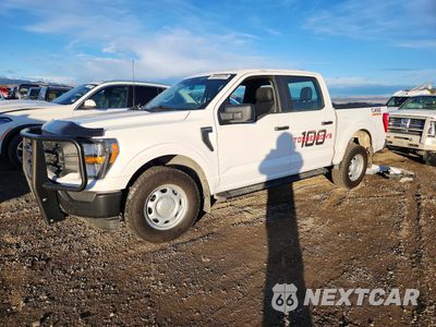 2023 FORD F150 1FTFW1E54PKE09961 - główne zdjęcie licytacji z USA - miniatura