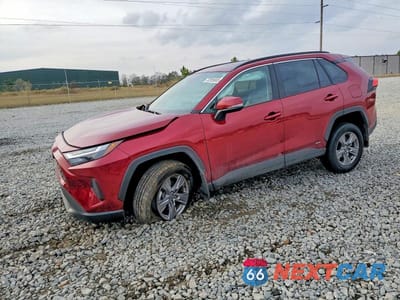 2024 TOYOTA RAV4 XLE 2T3RWRFV6RW243463 - główne zdjęcie licytacji z USA - miniatura