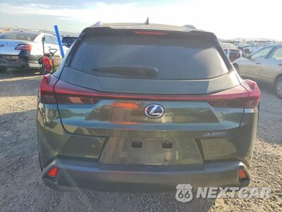 Zdjęcie 6 z 14 samochodu: 2020 LEXUS UX 250H VIN:JTHP9JBH2L2021839 - miniatura