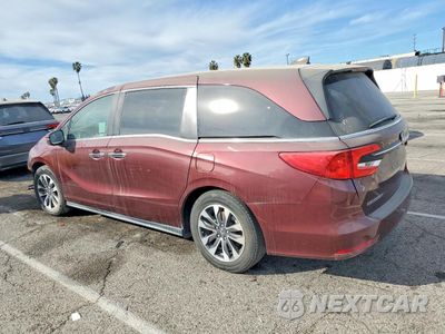 Drugie zdjęcie samochodu z przodu: 2021 HONDA ODYSSEY EXL VIN:5FNRL6H77MB023883 - miniatura