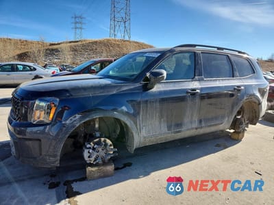 2025 KIA TELLURIDE EX 5XYP3DGC7SG646937 - główne zdjęcie licytacji z USA - miniatura