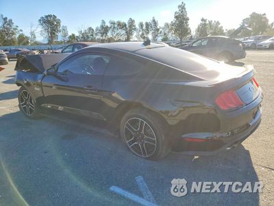 Drugie zdjęcie samochodu z przodu: 2021 FORD MUSTANG GT VIN:1FA6P8CF7M5126827 - miniatura