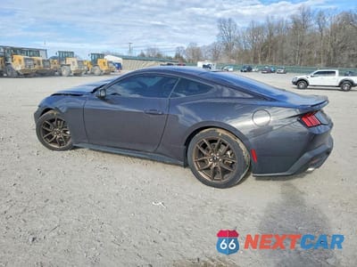 Drugie zdjęcie samochodu z przodu: 2024 FORD MUSTANG VIN:1FA6P8TH4R5117804 - miniatura