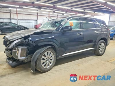 2025 HYUNDAI PALISADE SEL KM8R24GE5SU867363 - główne zdjęcie licytacji z USA - miniatura