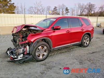 2025 HONDA PILOT EXL 5FNYG2H41SB014947 - główne zdjęcie licytacji z USA - miniatura