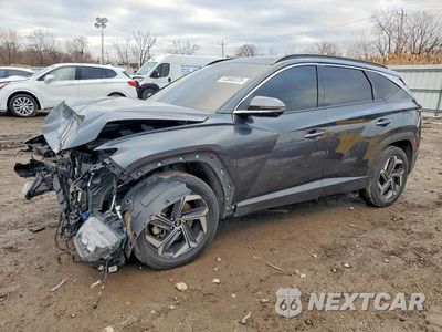 2023 HYUNDAI TUCSON LIMITED 5NMJECAE8PH202208 - główne zdjęcie licytacji z USA - miniatura