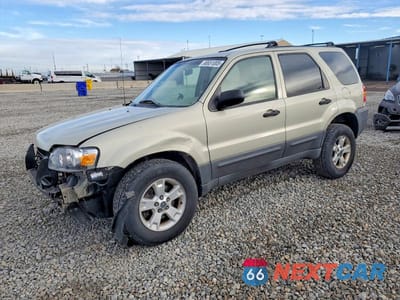 2006 FORD ESCAPE XLT 1FMYU93136KA60699 - główne zdjęcie licytacji z USA - miniatura