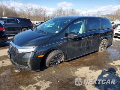 2023 HONDA ODYSSEY EXL 5FNRL6H67PB001880 - główne zdjęcie licytacji z USA - miniatura
