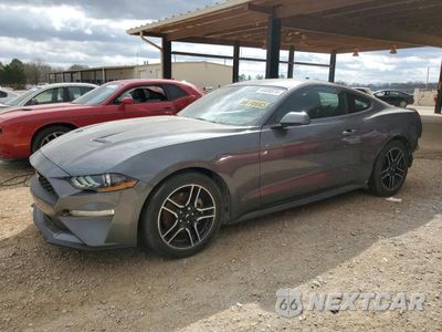 2021 FORD MUSTANG 1FA6P8TH5M5157723 - główne zdjęcie licytacji z USA - miniatura