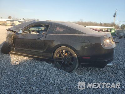 Drugie zdjęcie samochodu z przodu: 2014 FORD MUSTANG VIN:1ZVBP8AM8E5232275 - miniatura