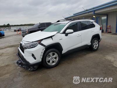 2021 TOYOTA RAV4 XLE 2T3RWRFV7MW114611 - główne zdjęcie licytacji z USA - miniatura