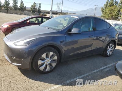 2023 TESLA MODEL Y 7SAYGDED1PF934944 - główne zdjęcie licytacji z USA - miniatura